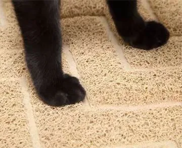 pet mat