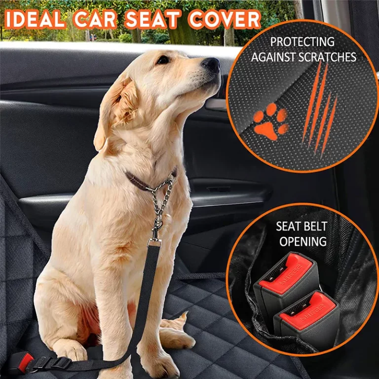 dog car seat cover (1)